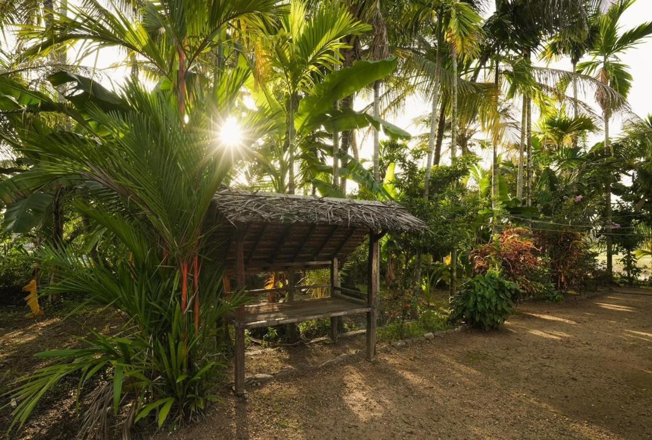 Cocozone Stays Alappuzha ภายนอก รูปภาพ